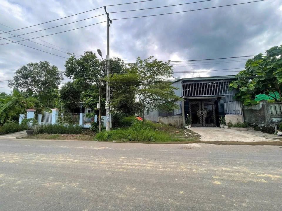 Đất nền Hòa Ninh, Đà Nẵng 128m² giá 1.6 tỷ - Chính chủ cần bán gấp!