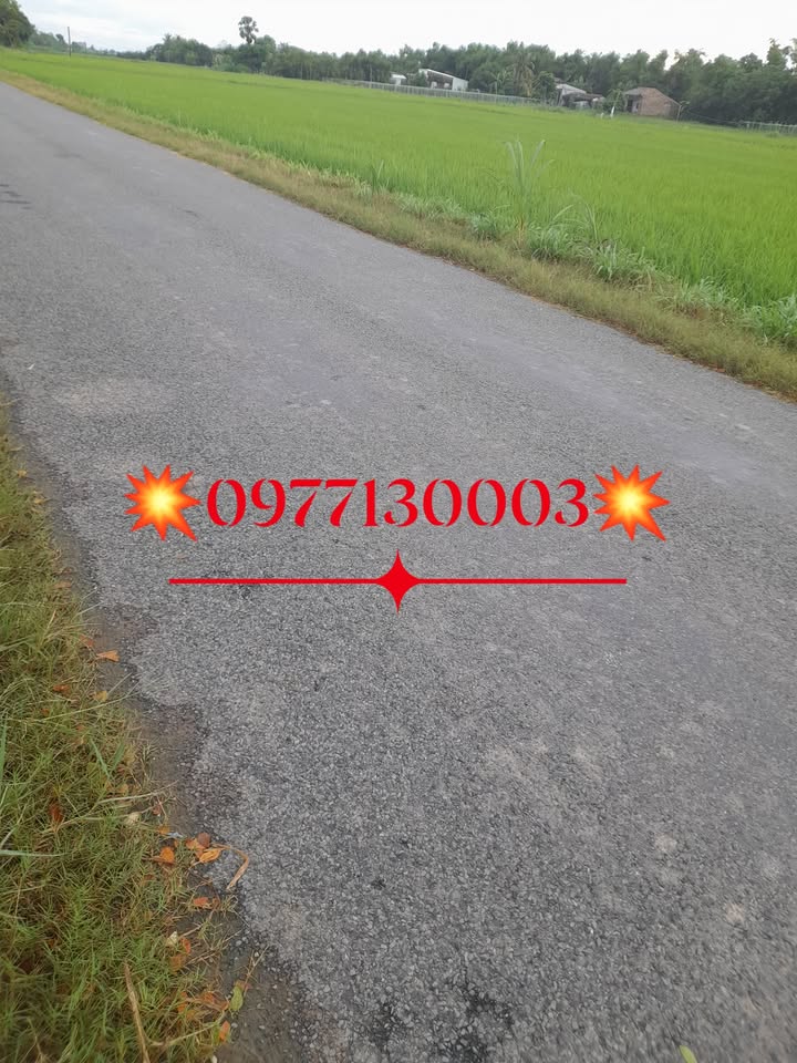 Đất mặt tiền 450m² tại Long Hữu, Duyên Hải, Trà Vinh - Giá chỉ 350 triệu