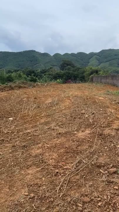 Đất thổ cư Hương Cần, Thanh Sơn 200m² - Cơ hội đầu tư hiếm có!