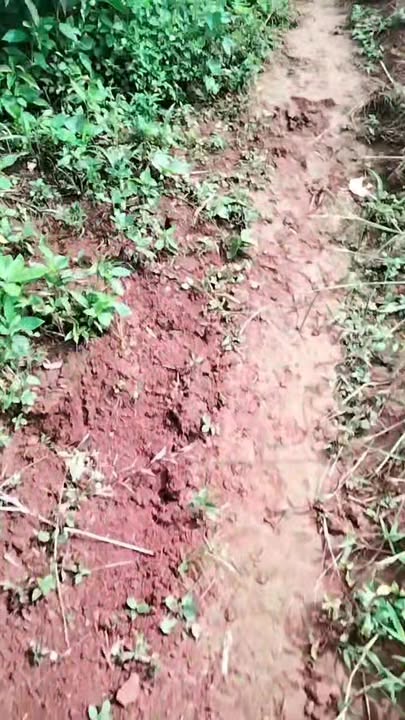 Đất nền tại Quảng Tâm, Tuy Đức, Đắk Nông 25,200m² giá 1.3 tỷ - Cơ hội đầu tư tuyệt vời!