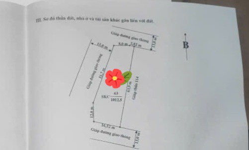 Đất thổ cư Ninh Vân - Ninh Bình 1.012,5m² giá chỉ 6 triệu - Cơ hội đầu tư tuyệt vời!