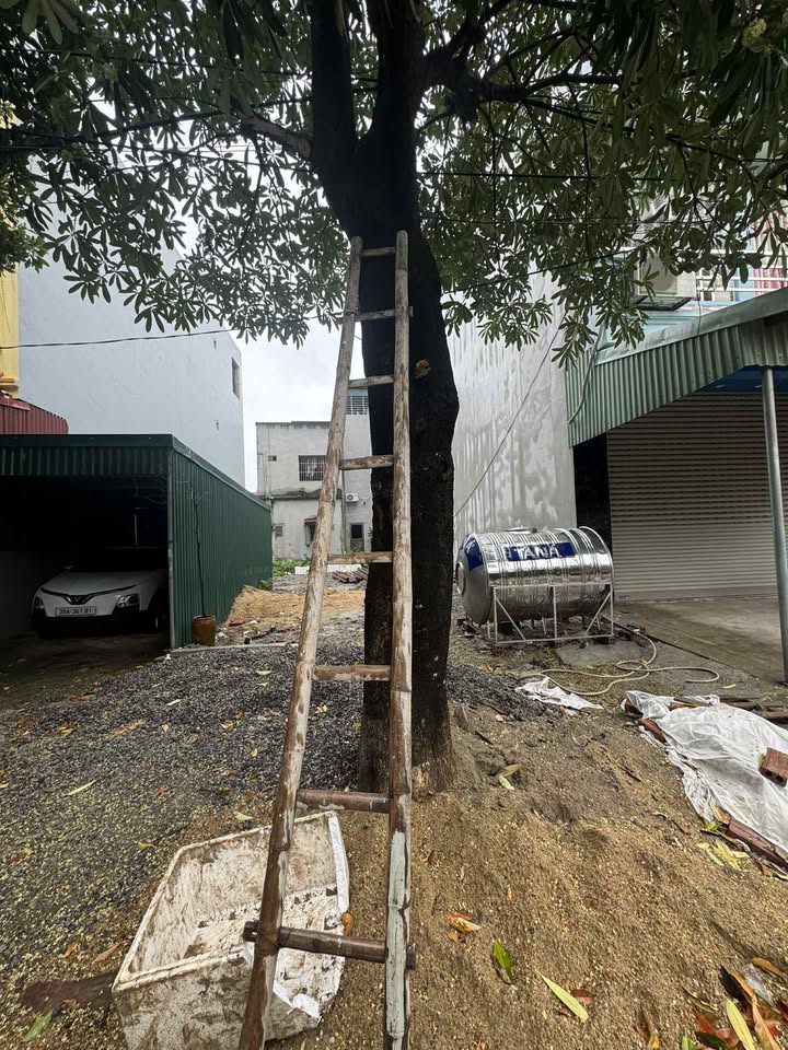 Đất nền ngõ 68 Phạm Thuật Duật, Ninh Bình 83,7m² giá 4 tỷ - Gần trung tâm tiện ích!