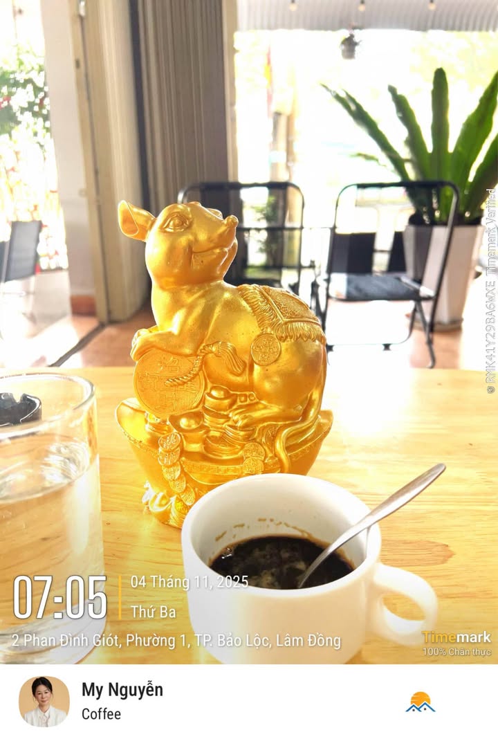 Đất thổ cư Bảo Lộc 97m² giá 880 triệu - Sổ hồng chính chủ, đầu tư sinh lời!