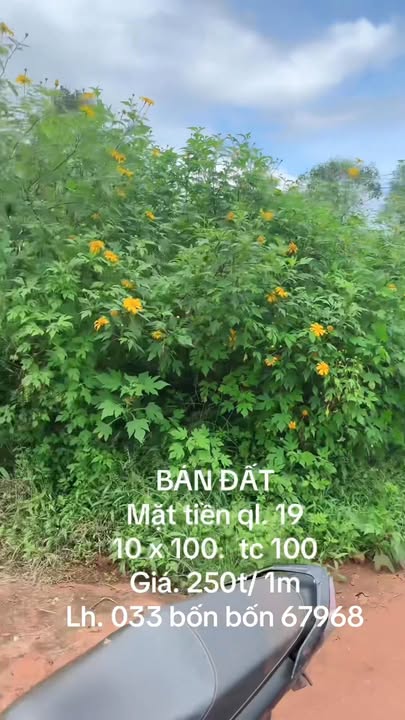 Đất mặt tiền Quốc lộ 19, thôn Hà Lòng, 1000m² giá 2.5 tỷ - Cơ hội đầu tư tuyệt vời!