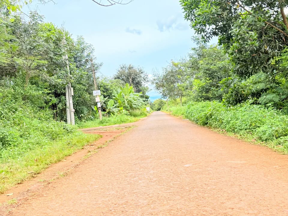 Đất hẻm 146 Âu Cơ, Pleiku 288m² giá 1.3 tỷ - Cơ hội đầu tư tuyệt vời!