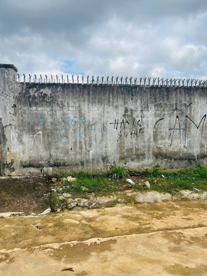 Đất hẻm 17 Nguyễn Tuân, Pleiku 230m² chỉ 900 triệu - Hướng Nam mát mẻ!