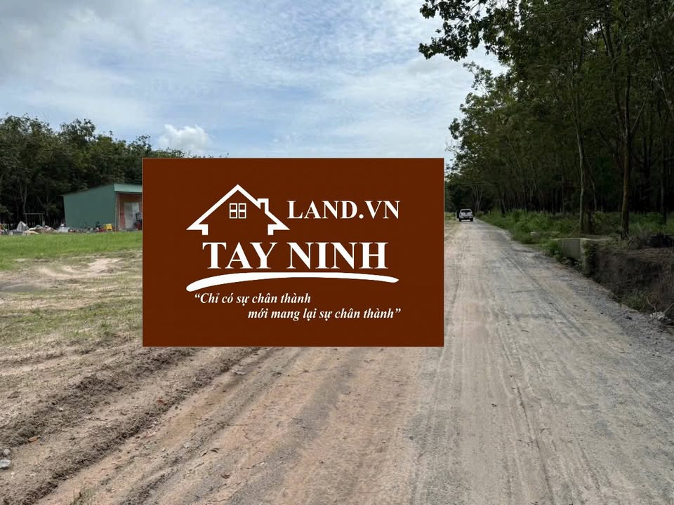 Đất thổ cư Ninh Thạnh Tây Ninh 210m² giá chỉ 379 triệu - Sổ đỏ chính chủ