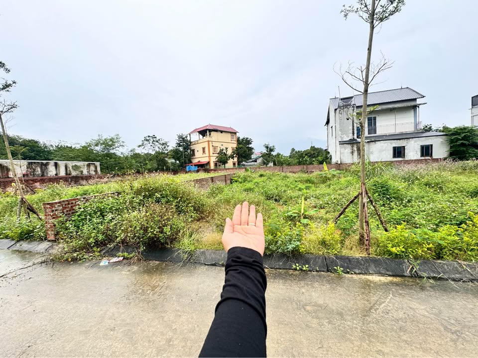 Đất nền Tiến Xuân Thạch Thất 150m² giá thỏa thuận - Cơ hội đầu tư hấp dẫn!