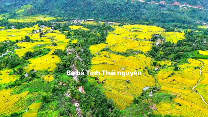 Đất Farm 5000m² tại Đồng Phúc, Ba Bể - Không khí trong lành và cảnh đẹp tuyệt vời!