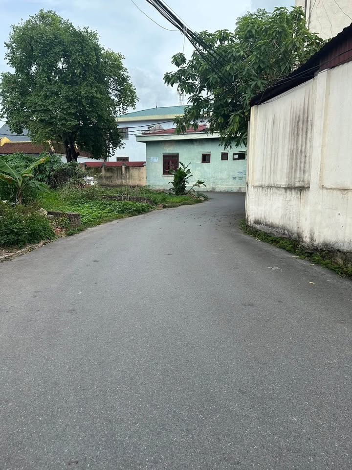 Đất nền Song Liễu, Gia Lâm 70m² giá 2 tỷ - Gần trường học và nhiều tiện ích!