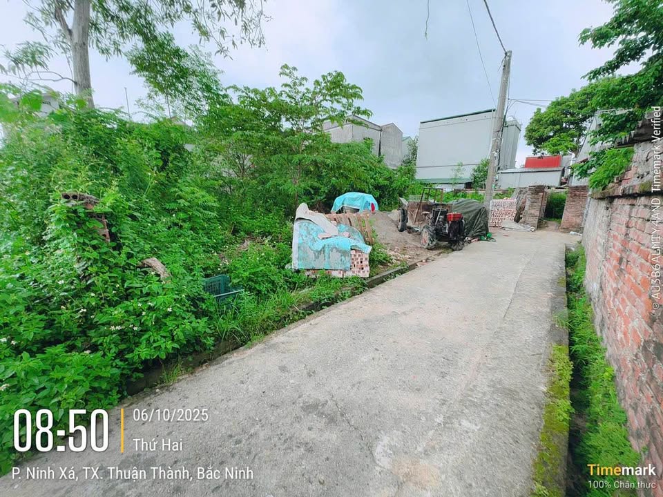 Đất Nền Ninh Xá, Thuận Thành 52m² giá 1.3 tỷ - Đường ô tô đỗ cửa!