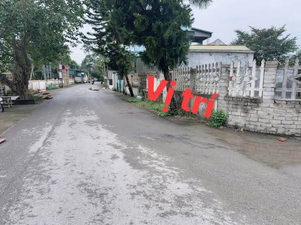 Đất nền Đông Quang, TP Thanh Hóa 100m² giá 800 triệu - Sổ đỏ chính chủ