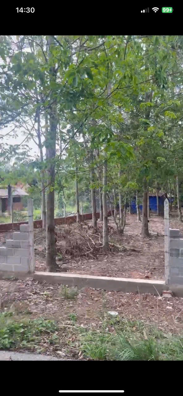 Đất mặt tiền đường 761, An Nhơn Tây, Củ Chi 1240m² - Pháp lý rõ ràng, giá tốt!