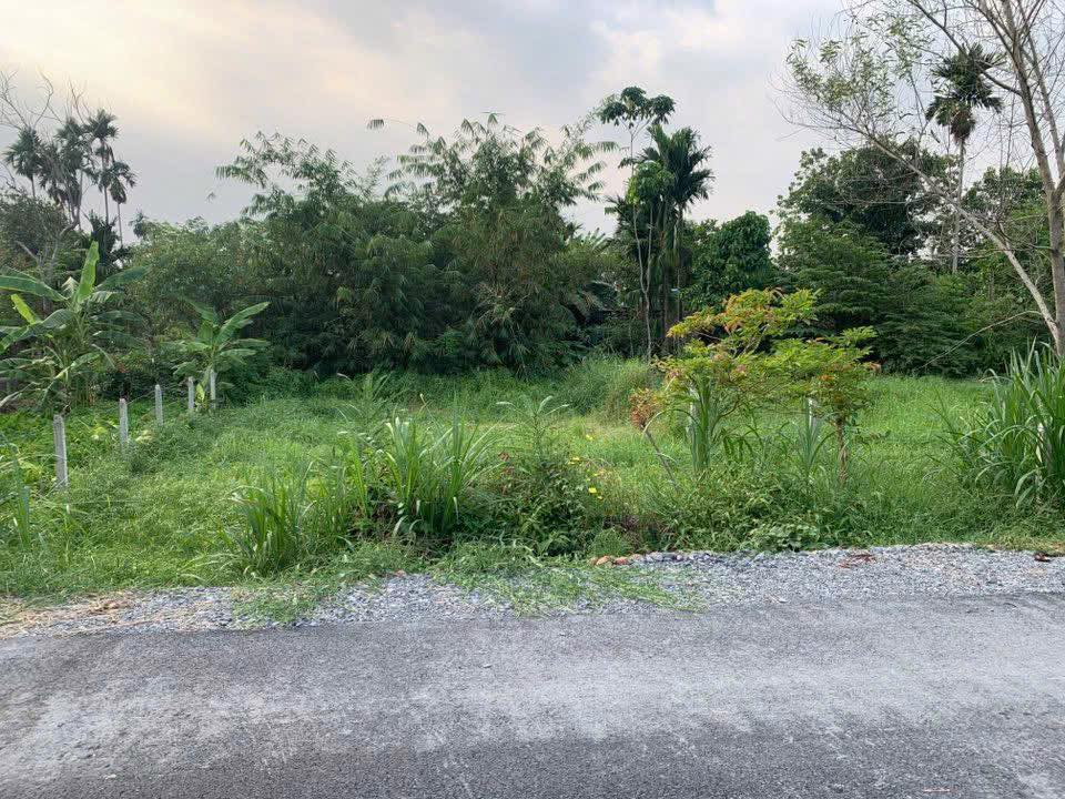 Đất mặt tiền đường Cây Gõ, xã An Phú, Củ Chi 507m² giá 1 tỷ - Cơ hội đầu tư hấp dẫn!