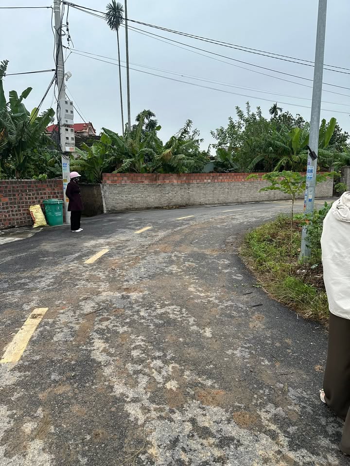 Đất nền Mỹ Đồng - Thủy Nguyên 60m² giá chỉ 1 tỷ - Cơ hội đầu tư hấp dẫn!