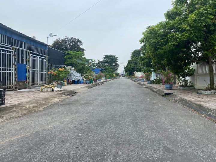 Lô đất Tam Kiệt, Hữu Bằng, Kiến Thụy 60m² giá 820 triệu - Đầu tư sinh lời hấp dẫn!