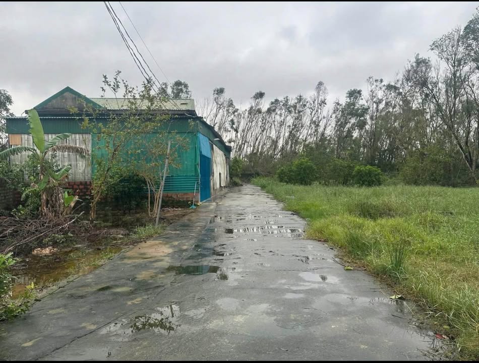 Đất Nghi Hương 160m² giá 1 tỷ - Đầu tư sinh lời gần biển!