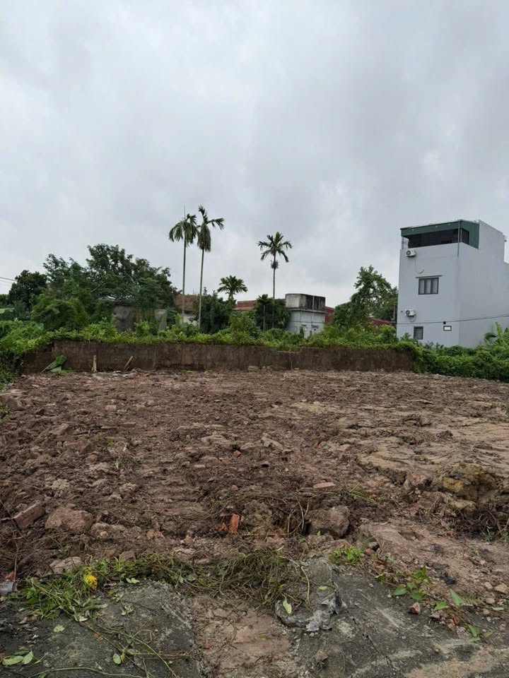 Đất nền Thôn Thụy Lôi, Tiên Lữ 300m² - Pháp lý rõ ràng, tiện ích đầy đủ!