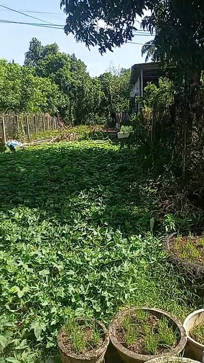 Đất nền mặt tiền Quốc lộ 29, Sơn Thành Đông, Tây Hoà 156m² giá 1 tỷ - Cơ hội đầu tư hấp dẫn!