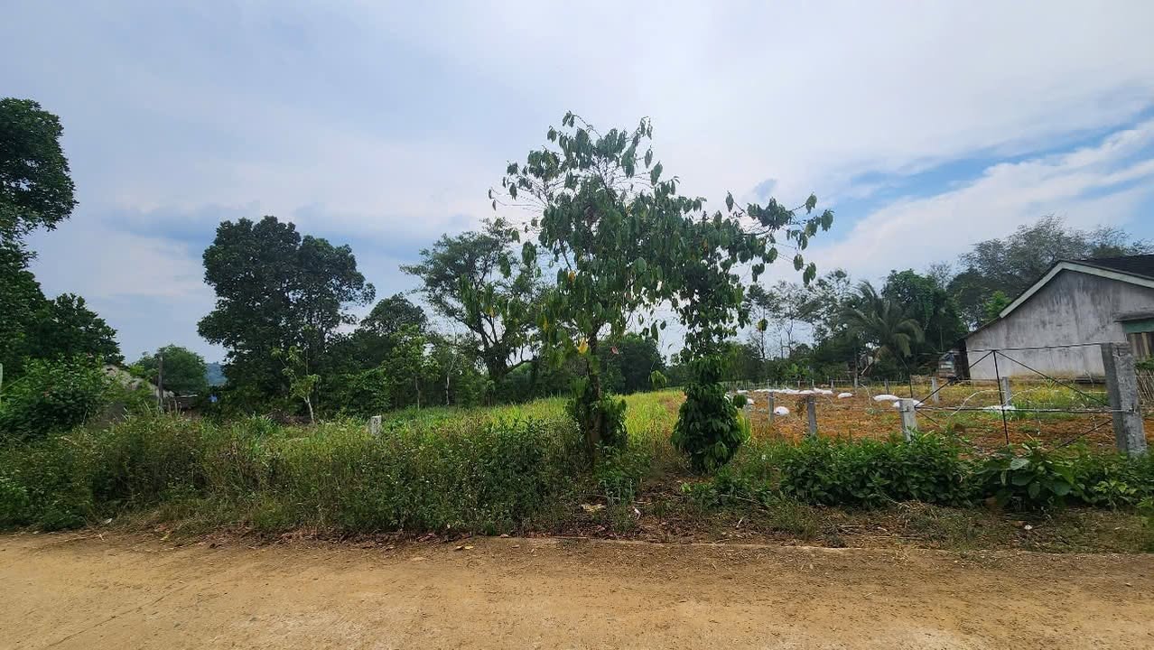 Đất thổ cư Thôn Hà Roi, Sông Hinh, Phú Yên 592.5m² - View hồ tuyệt đẹp!