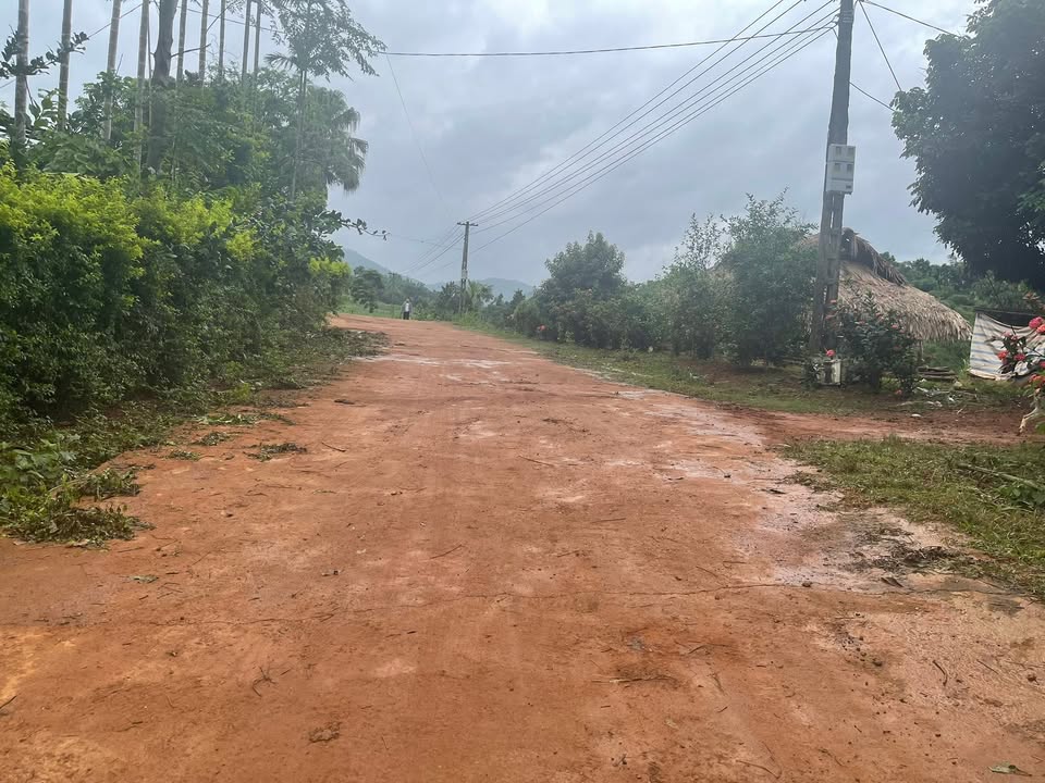 Đất thổ cư Phùng Giáo Ngọc Lặc 133m² giá 100 triệu - Đầu tư sinh lời nhanh chóng!