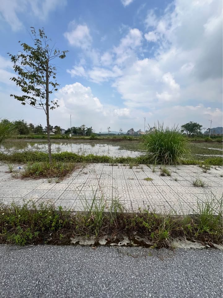 Đất nền Đông Quang, Thanh Hóa 106m² - Giá tốt hơn 50 triệu