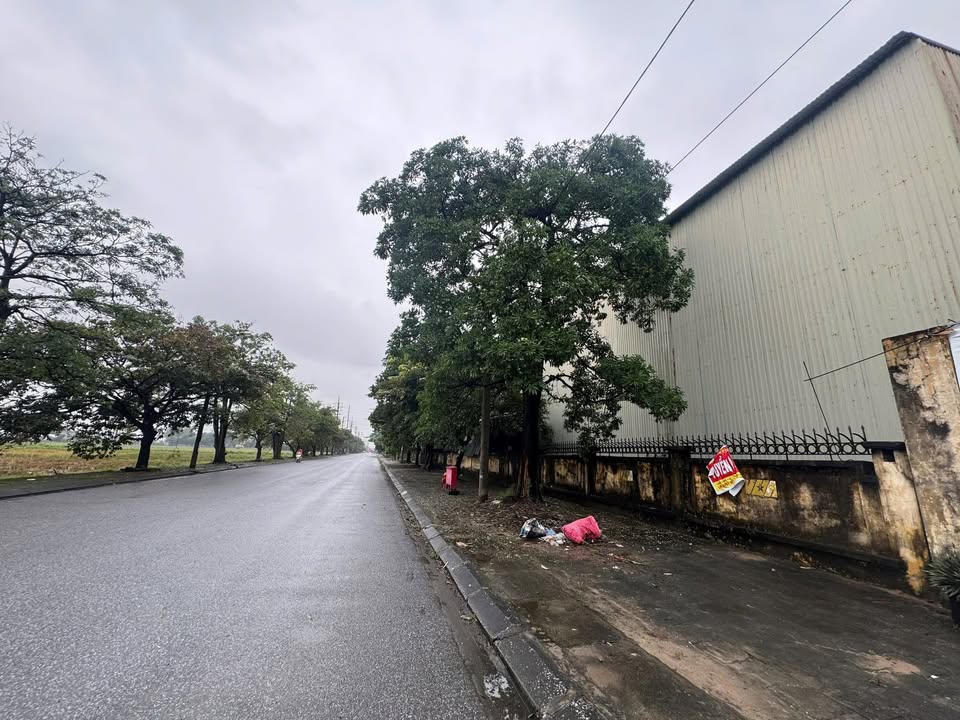 Đất nền Quất Động, Thường Tín 167m² giá 4.5 tỷ - Đầu tư sinh lời nhanh!