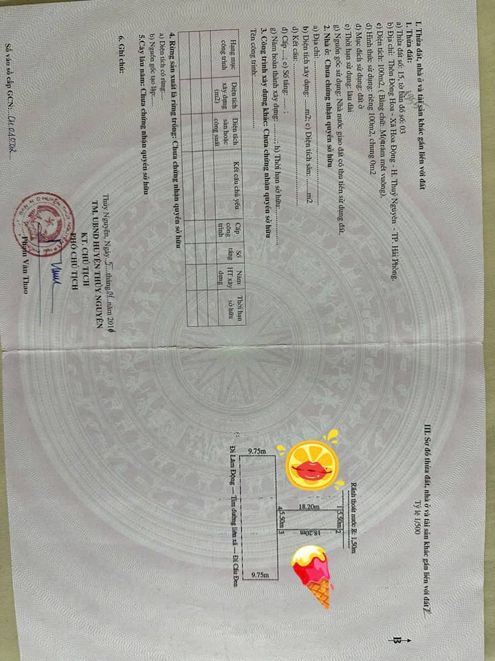 Đất nền mặt tiền 203 xã Hoa Động 100m² giá 6 tỷ - Tiềm năng kinh doanh lớn!