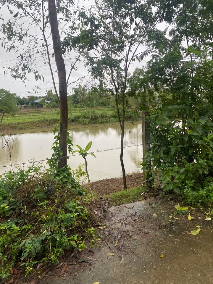 Farm 1ha tại xã Phú Lộc, Nho Quan - Tiềm năng phát triển lớn!