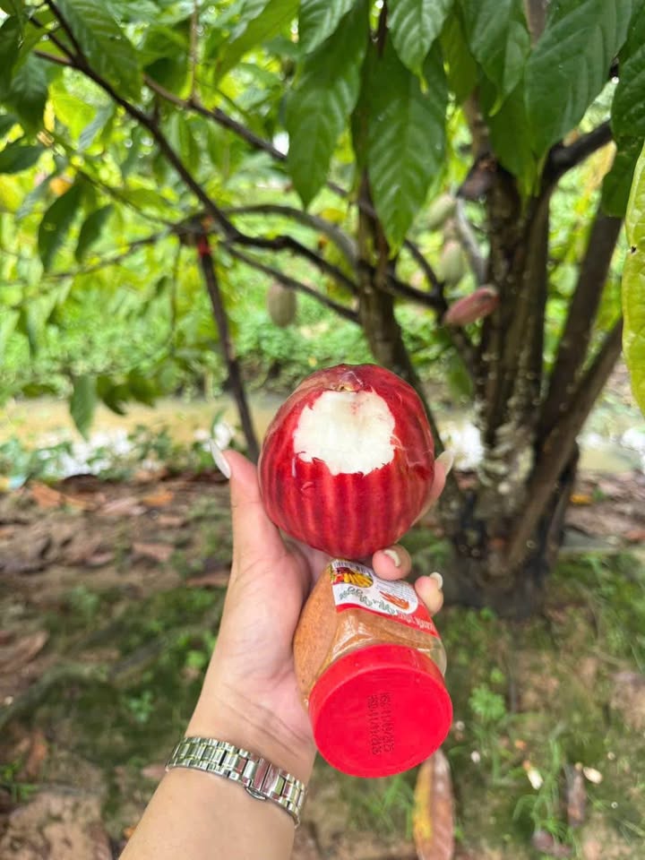 Đất 1000m² Phước Hiệp, Mỏ Cày Nam giá 750 triệu - Cơ hội đầu tư hiếm có!