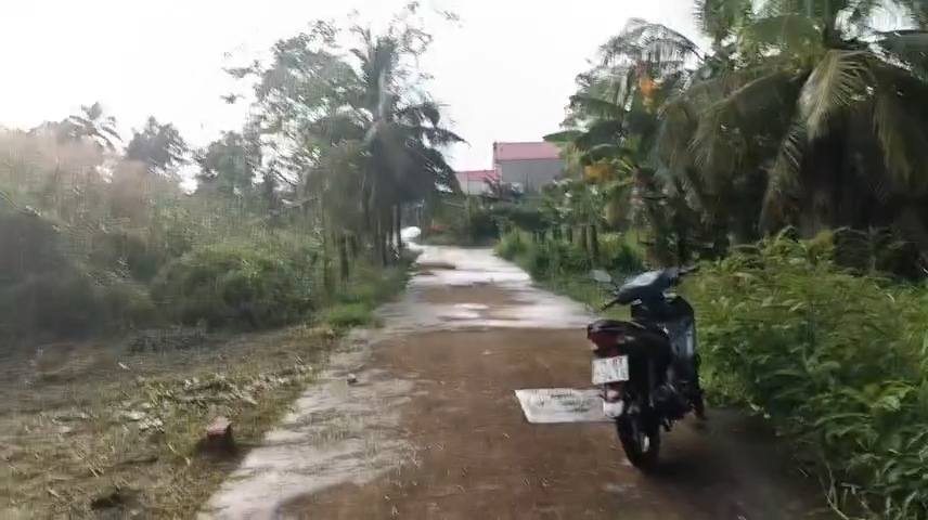 Đất nền liền kề Phường 8, TP. Bến Tre 250m² giá 350 triệu - Sổ đỏ chính chủ!