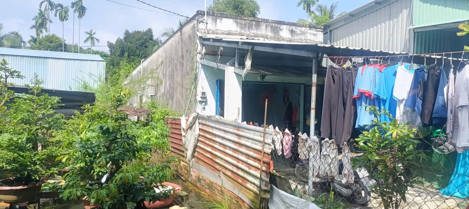 Nhà cấp 4 Bình Mỹ, Củ Chi 74m² giá 1.95 tỷ - Cần bán gấp chính chủ!