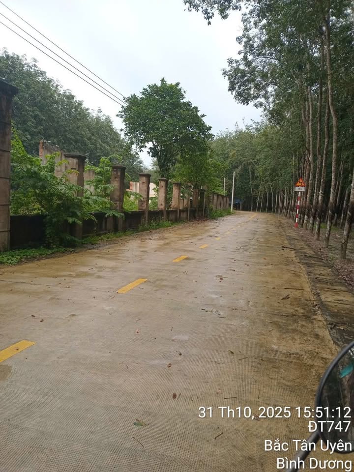 Đất nền Bình Mỹ, Củ Chi 100m² giá chỉ 80 triệu - Cơ hội đầu tư tuyệt vời!