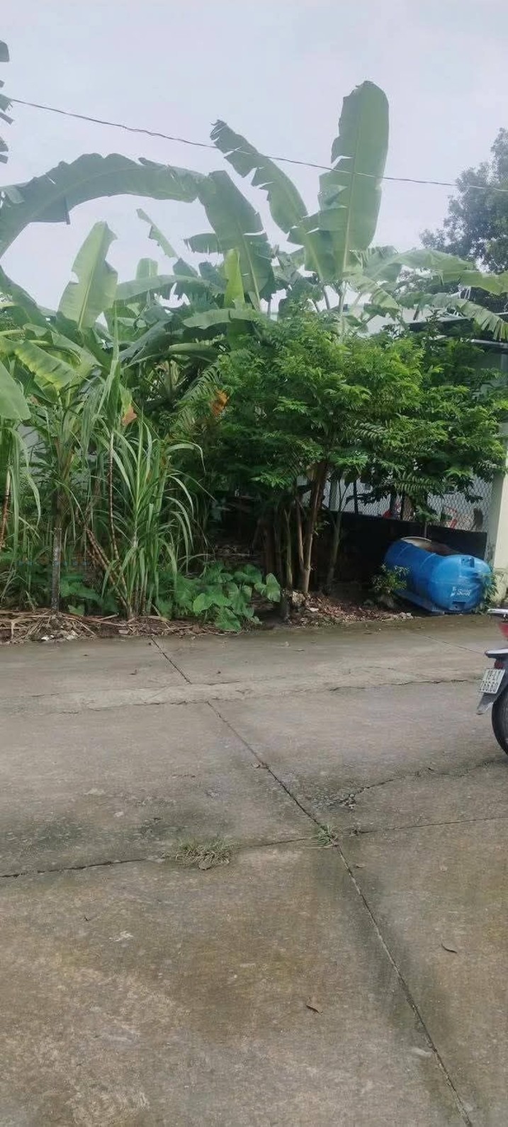 Đất nền Tân Bình 90m² giá 1.35 tỷ - Đầu tư sinh lời lý tưởng!