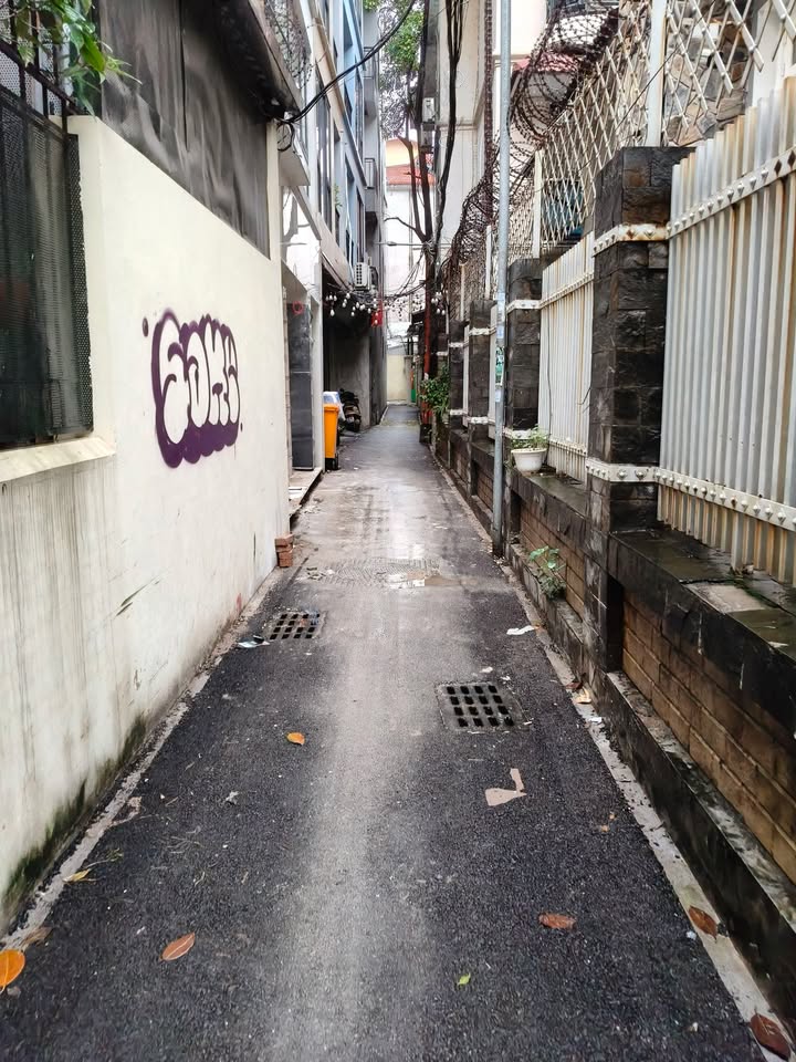 Đất nền Quảng An Tây Hồ 250m² giá 83 tỷ - Cơ hội đầu tư sinh lời lớn!