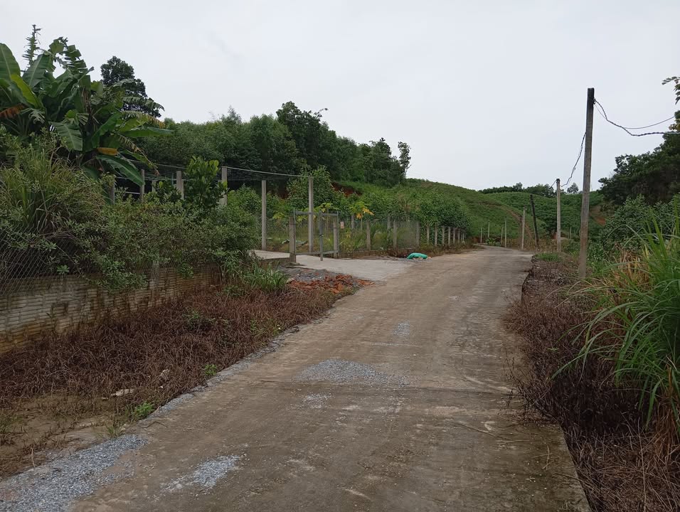 Đất thổ cư Kim Phú Tuyên Quang 189m² - Mặt tiền rộng, giá tốt!