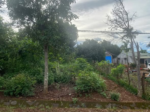 Đất nền xã Ea Drăng, 234m² chỉ 370 triệu - Cơ hội đầu tư hấp dẫn!