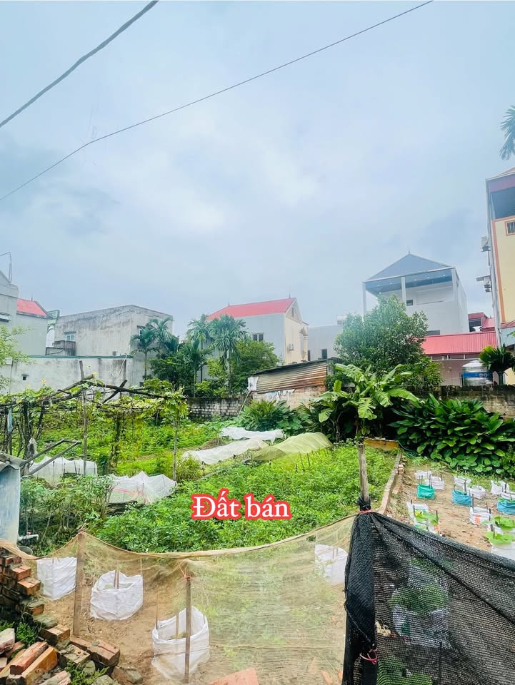 Đất Phúc Hòa - Phúc Thọ 52m² giá 1.9 tỷ - Đầu tư sinh lời ngay!