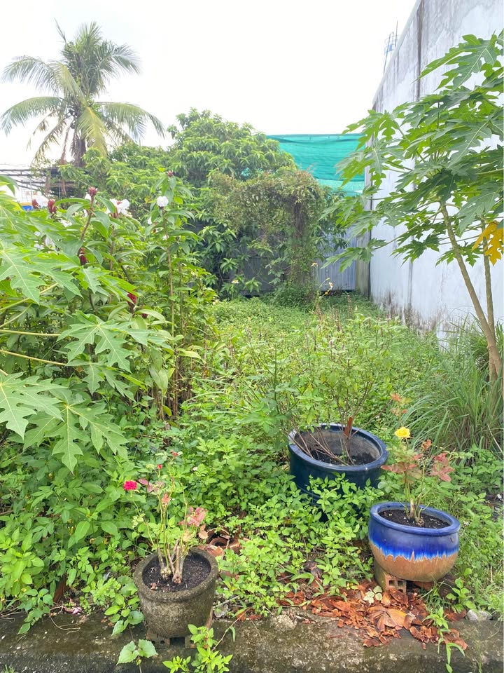 Đất Hưng Định 134m² giá 2.45 tỷ - Đầu tư lý tưởng cho nhà vườn!