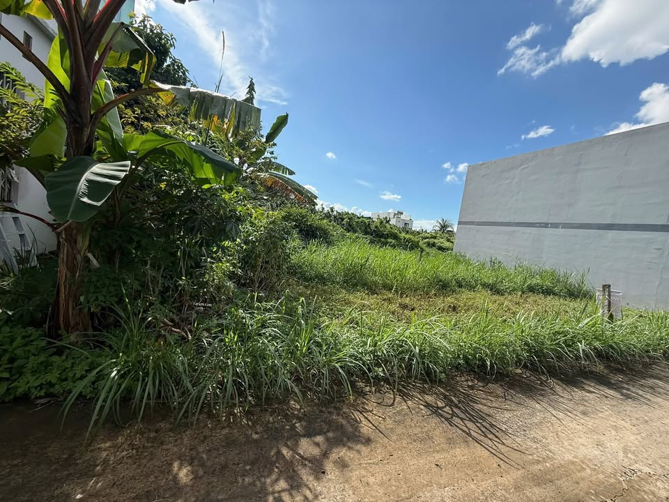 Đất nền Tân Mỹ Chánh, Mỹ Tho 75m² giá chỉ từ 600 triệu - Cơ hội vàng cho nhà đầu tư!