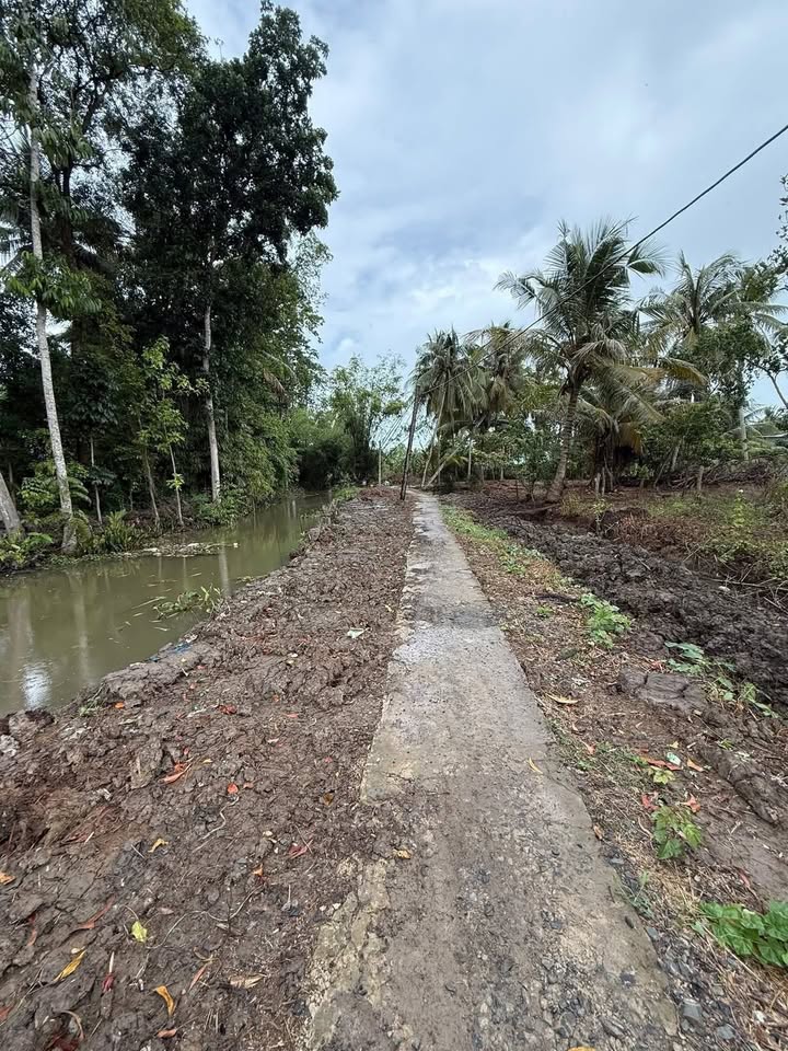 Đất mặt tiền đường Đan Hậu Thành 1350m² giá 1.1 tỷ - Cơ hội đầu tư hấp dẫn!