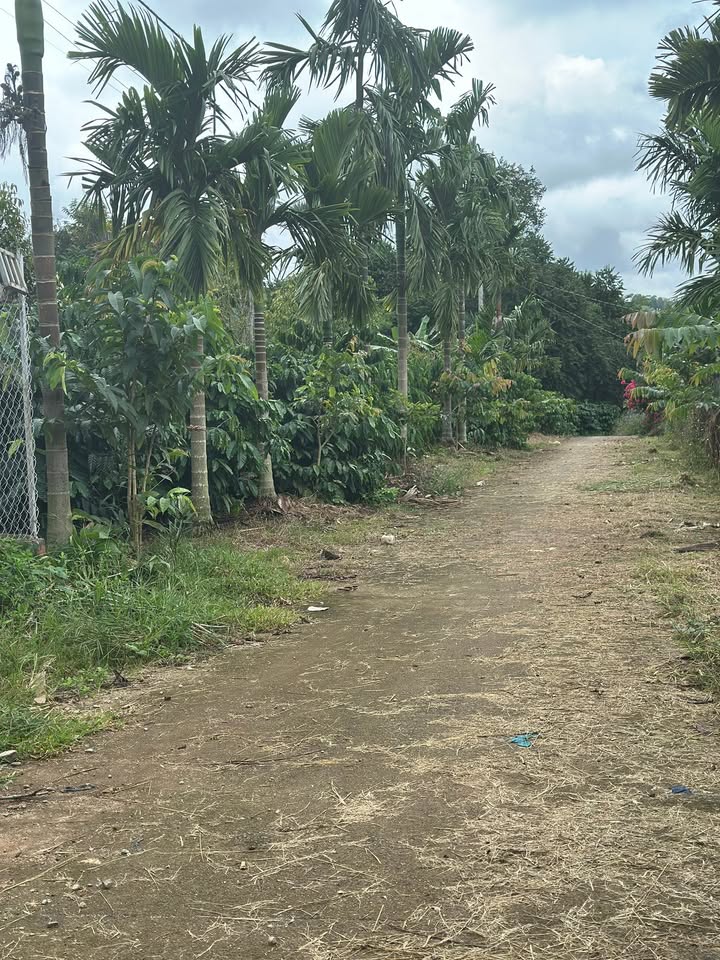 Đất thổ cư Nam Đà 364m² giá chỉ 875 triệu - Đầu tư sinh lời tiềm năng!