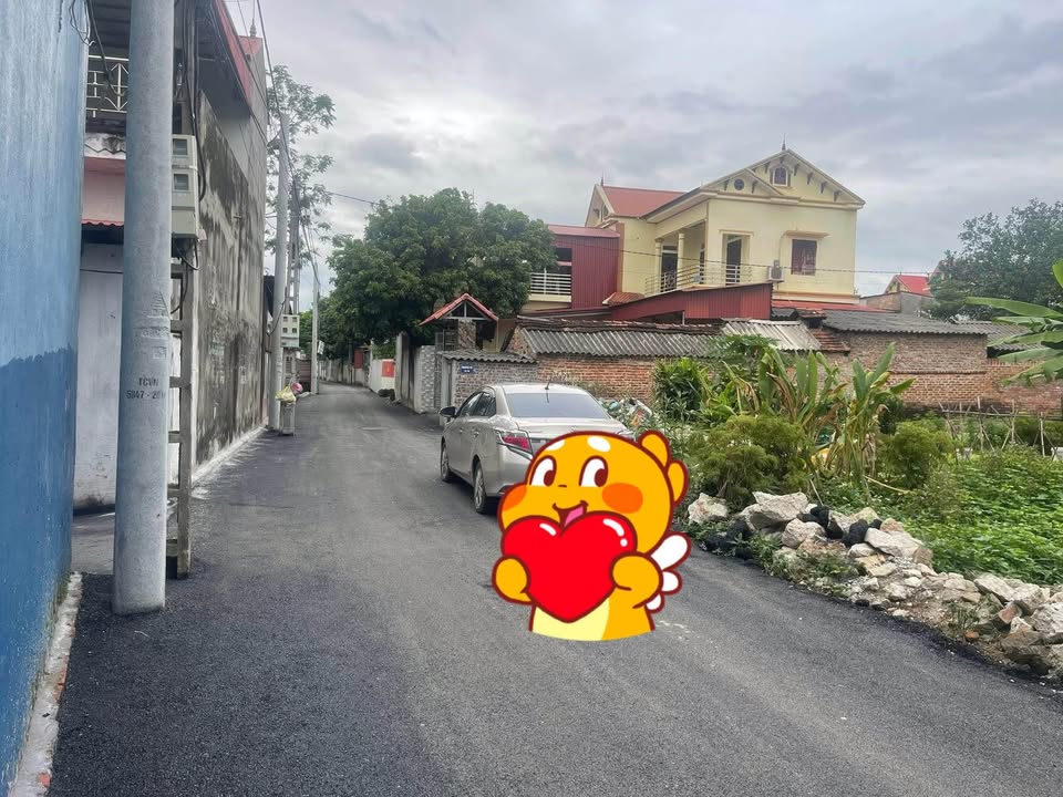 Đất chính chủ Xuân Lễ, Sóc Sơn 97.8m² chỉ từ 20 triệu - Cơ hội đầu tư hiếm có!