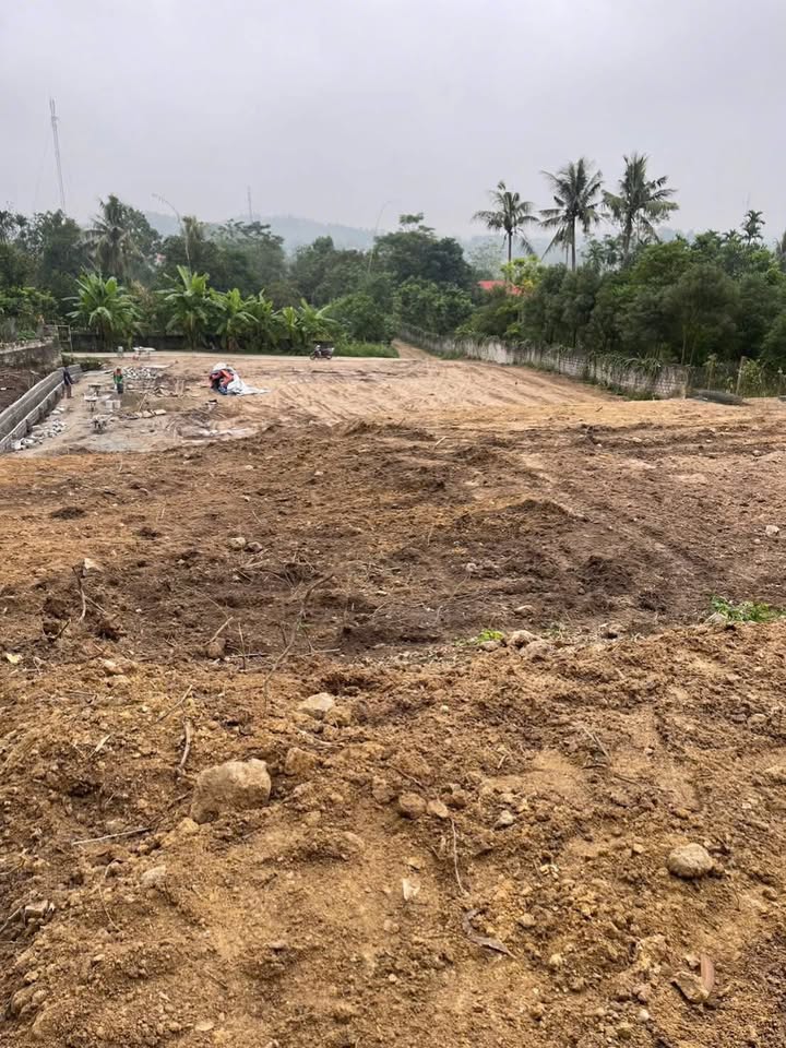 Đất nền Farm tại Đại Đình, Tam Đảo 2000m² giá 2 tỷ - Đầu tư sinh lời ngay!