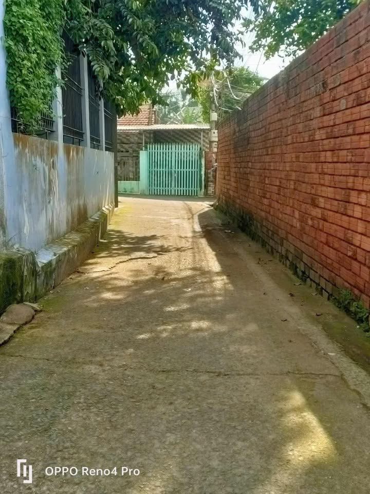 Đất thổ cư 200m² Tân Bình, Dĩ An chỉ 4.75 tỷ - Cơ hội đầu tư hấp dẫn!