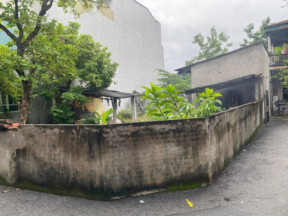 Đất nền Đống Đa, Vĩnh Yên 297.5m² - Giá cả hợp lý, cơ hội đầu tư!