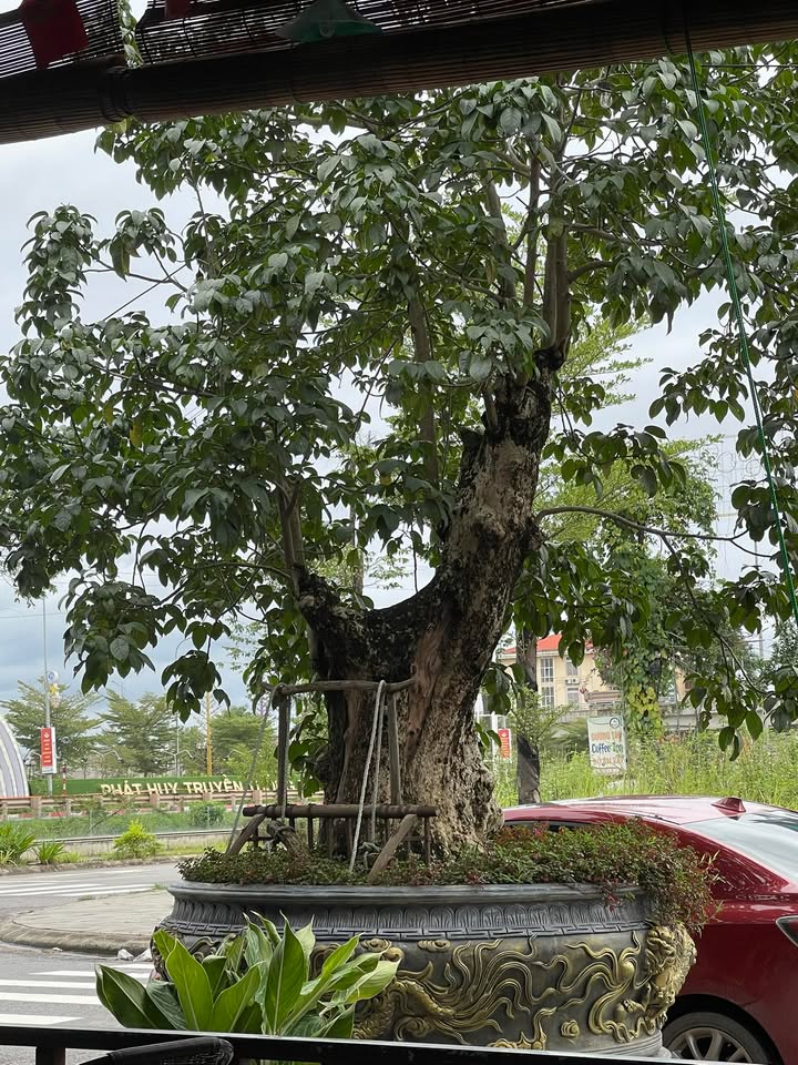 Đất nền vàng Vôi - Lạng Giang 80m² giá thỏa thuận - Cơ hội đầu tư hấp dẫn!