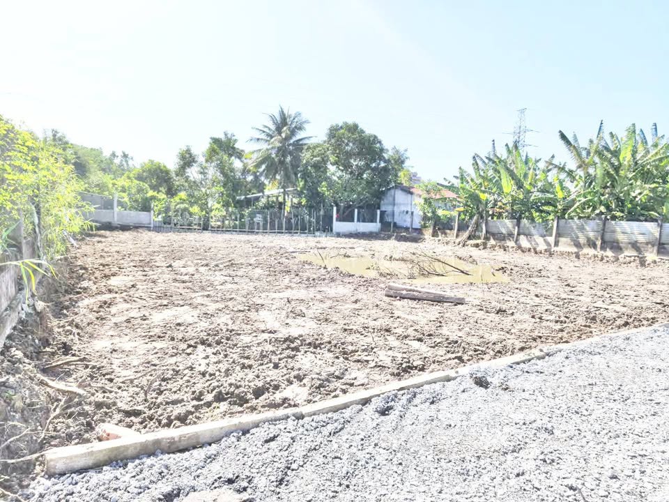 Đất thổ cư 165m² hẻm Lê Văn Cảng, Tân An - Giá chỉ 750 triệu, thương lượng!