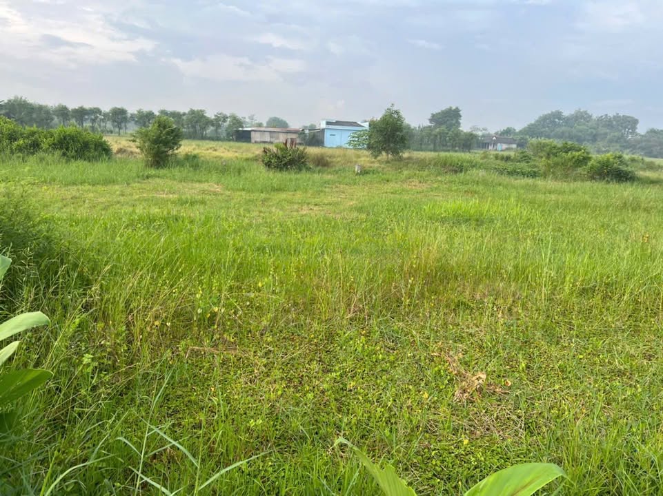 Đất thổ cư 126m² xã Tăng Hoà Gò Công Đông - Giá chỉ 280 triệu