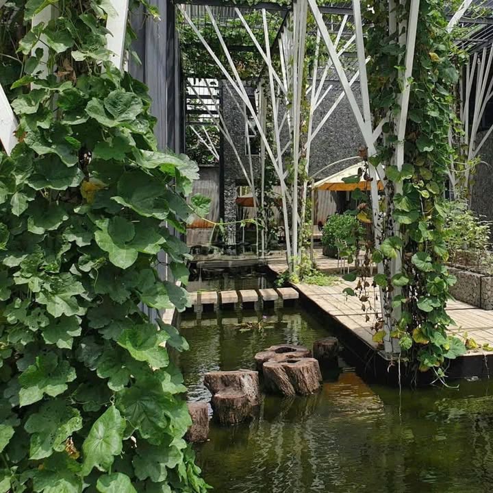 Nhà cho thuê tại Thủ Đức 350m² - Phù hợp làm văn phòng và F&B nhẹ